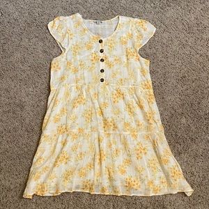 AE swing dress